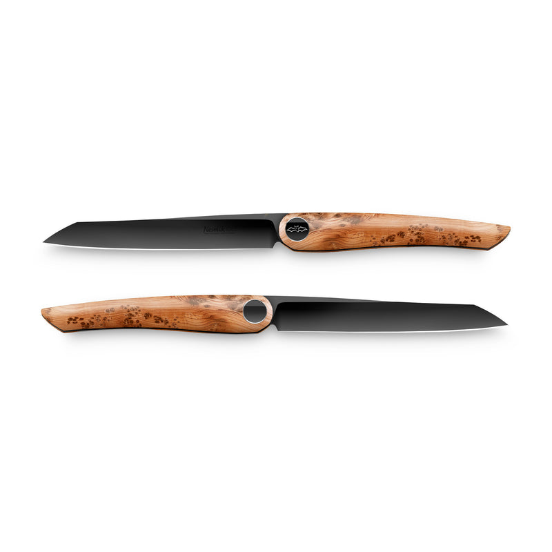 JANUS Steakmesser 2er Set